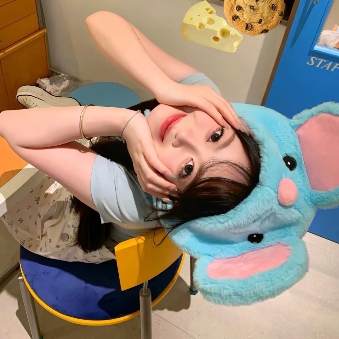我的疯狂书迷
